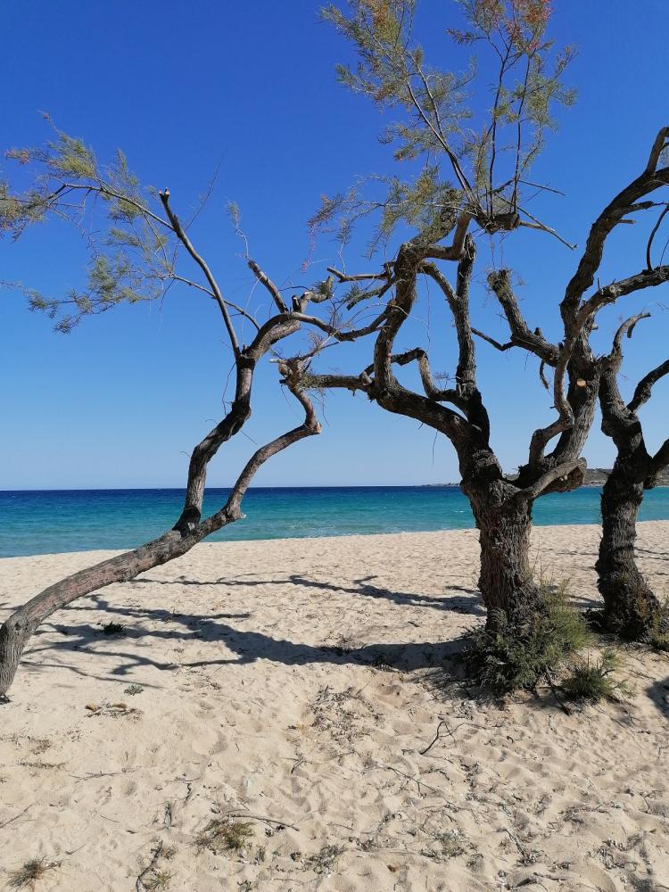 Aregno beach on a vtc tour from Bastia