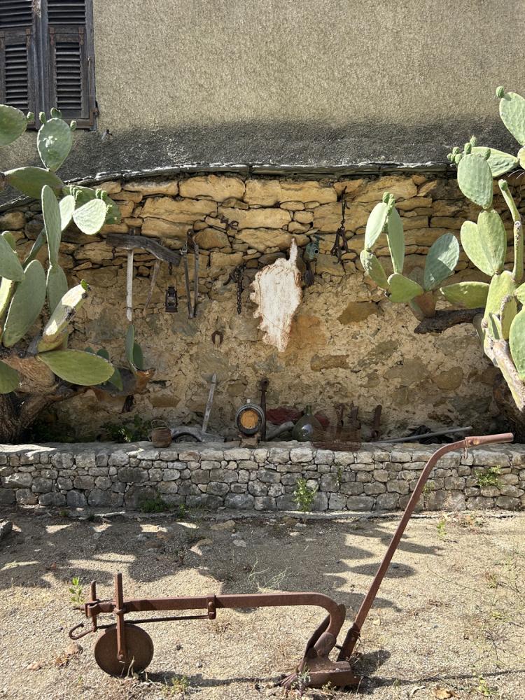 Finca vinícola en Patrimonio en una excursión en vtc desde Bastia