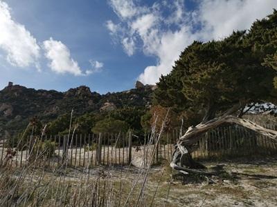 Vista de la bahía de los leones de Roccapina en una excursión privada en VTC desde Propriano